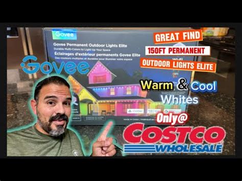 costco govee